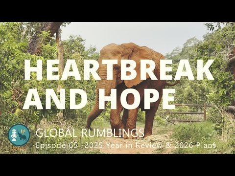 Global Rumblings Podcast, Video Edition Episode 65:  Heartbreak and Hope