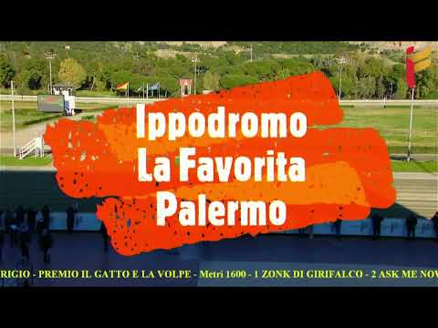 V Corsa del 18 Febbraio 2022 - 5 Anni ed oltre - Metri 1600 - Gara Centrale