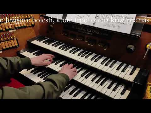 JKS 173 - S pobožnosťou oslavujme (Dóm sv. Alžbety)