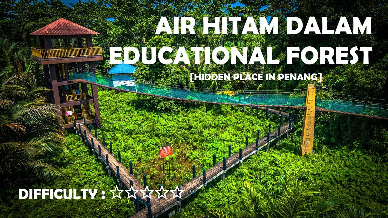 Discover wetlands, wildlife, and wooden walkways at Air Hitam Dalam