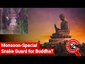 FACT CHECK Does Video Show 15 Foot Snake Around Buddha Statue In Monsoon