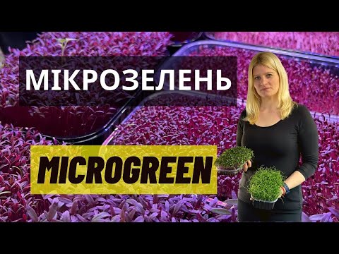 , title : 'Вирощування мікрогріну / мікрозелені'