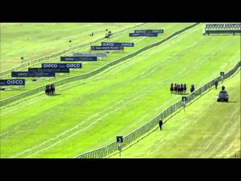 2014 Qipco 2000 Guineas Stakes - Night Of Thunder - Racing UK