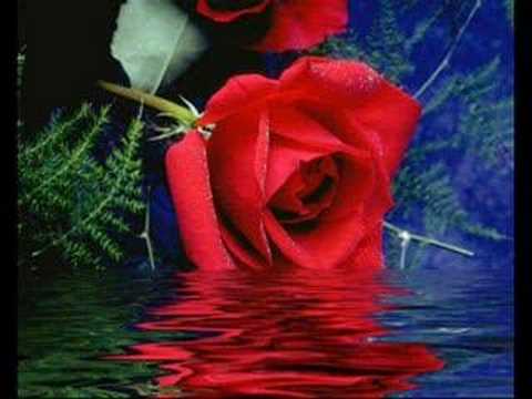 SiRmC feat Nurhan-Bir Günüm Olsan