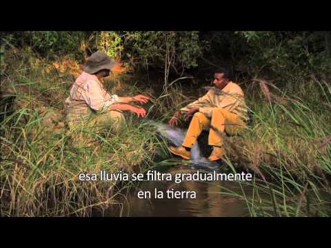 Hope in a changing climate - John D. Liu - Spanish subtitles