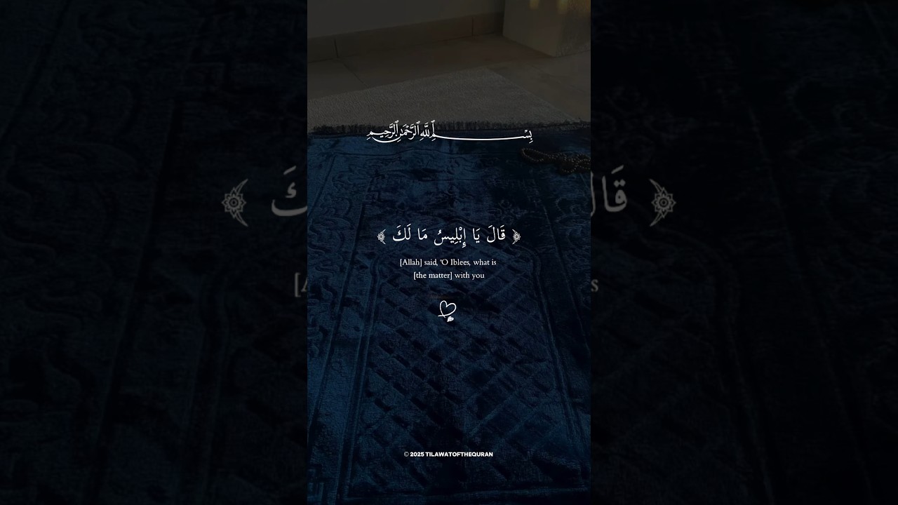 "إِلا عِبَادَكَ مِنْهُمُ الْمُخْلَصِينَ".. تلاوة خاشعة لقصة آدم وإبليس ✨📖