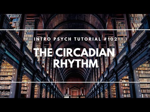 Problems of Consciousness Intro Psych Tutorial 97