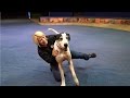 Save The Circus Jenny S Thank You Video Outtake