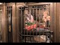Madeline Kahn Elevator Rap