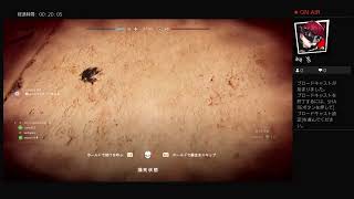 ﾁｰﾃﾞｽやりたいbf5