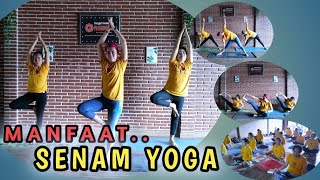 Download lagu SENAM YOGA RUTINITAS MENYEHATKAN DI PAGI HARI yoga... mp3