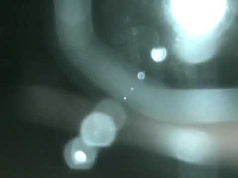 169. drip-133 VK Video - Untitled from Twitter [05.06.2017]