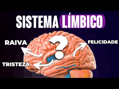 GET TO KNOW THE BRAIN'S EMOTIONAL SYSTEM