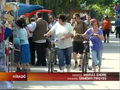 Tiszavirág fesztivál