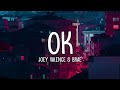 Joey Valence Brae OK Lyrics
