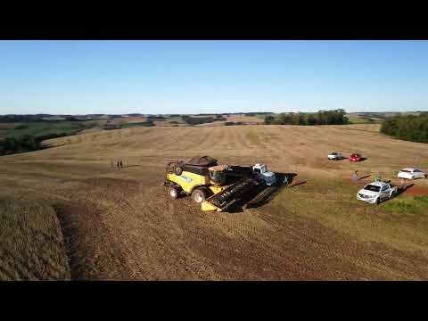 Colheita de Soja em Barra Funda  -  RS🌾🚜 | Drone no Final da Tarde | Abril 2026