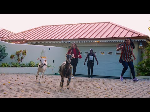 Penny On Point - Season 2 Episode 9