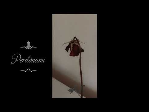 2nd roof, neima ezza, tothemoon - perdonami (𝓼𝓹𝓮𝓭 𝓾𝓹)