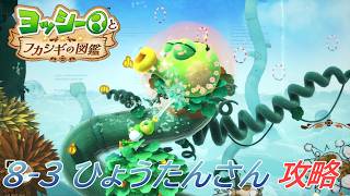 【ヨッシーとフカシギの図鑑】8-3 ひょうたんさんの生息地 調査、フラワーコンプリート【攻略/switch2】