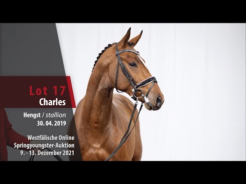Online Springyoungster-Auktion Lot 17 Charles Hengst v. Cascadello I - Darco