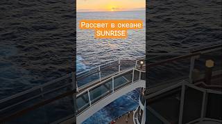 Рассвет в океане SUNRISE #sunrise #mscseaside #umarkeyn #nicemusic #4k #cruisetour