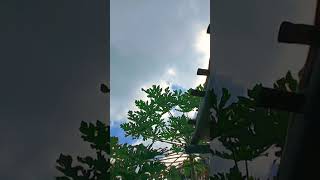 Download lagu halangan diri... #shorts #popsunda #darso mp3 Download lagu halangan diri... #shorts #popsunda #darso mp3