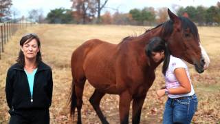 SoLost: True Grit & A Tale of Two Matties