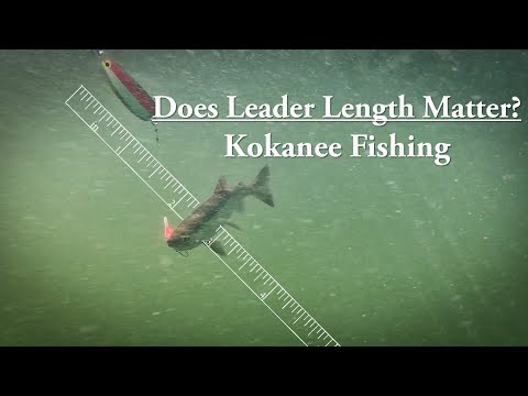 Kokanee Fishing: Does Leader Length Matter?