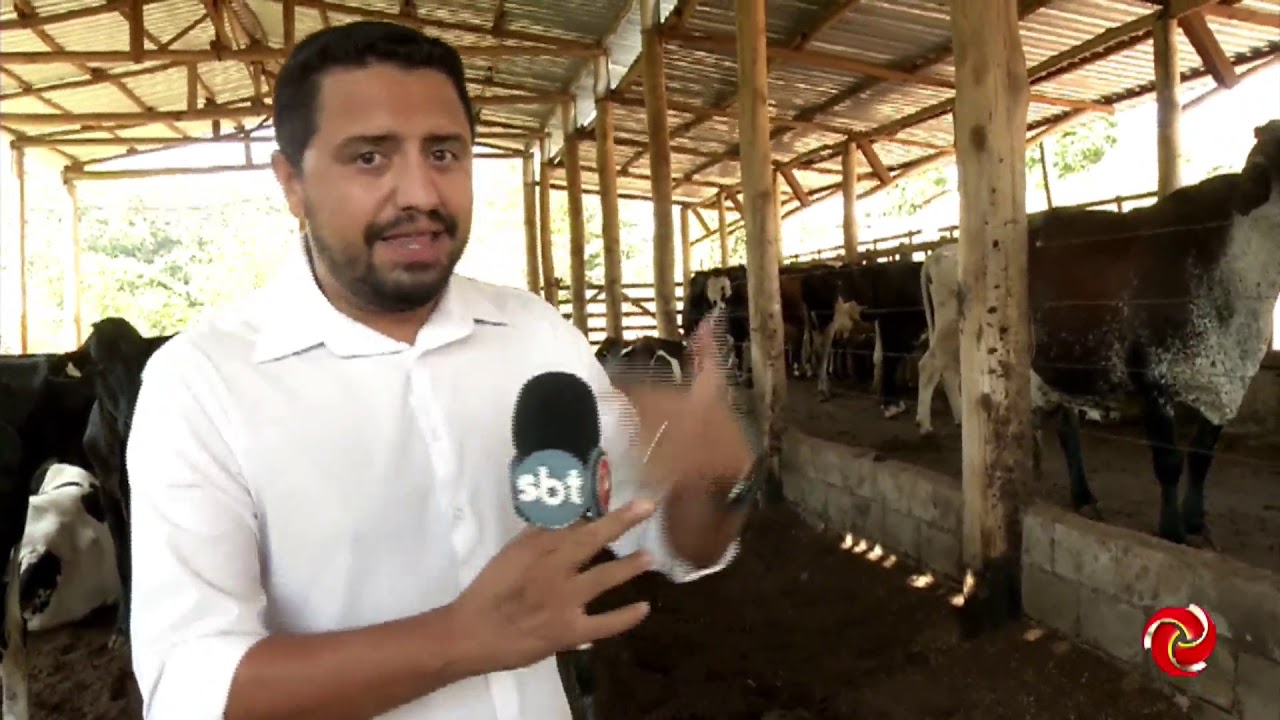 Compost Barns tem ajudado produtores