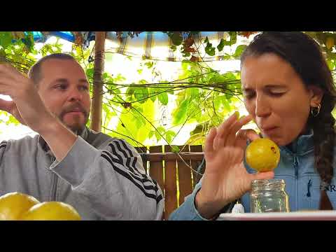 🌿 COMING SOON: PERMACULTURE LIFE – A Short Film by Twiga Architec 🌿