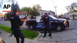 Colorado police chase a loose pet kangaroo