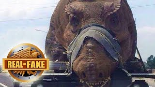 LIVING DINOSAUR CAPTURED IN AFRICA - real or fake?