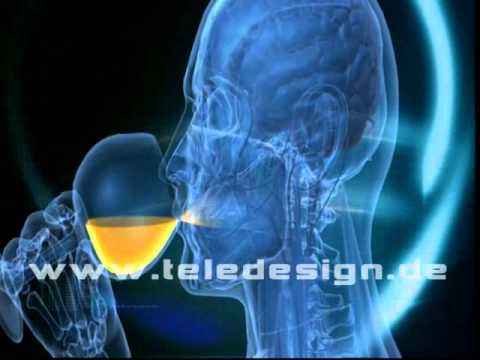 V 008 Alkohol - SDPAL / V 008  alcohol sugar digestion  - SDPAL