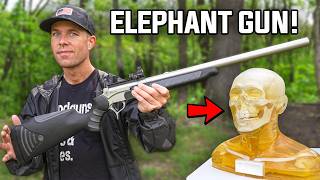 How LETHAL is an Elephant Gun?