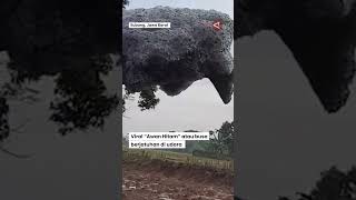 Viral 'Awan Hitam' berjatuhan di udara