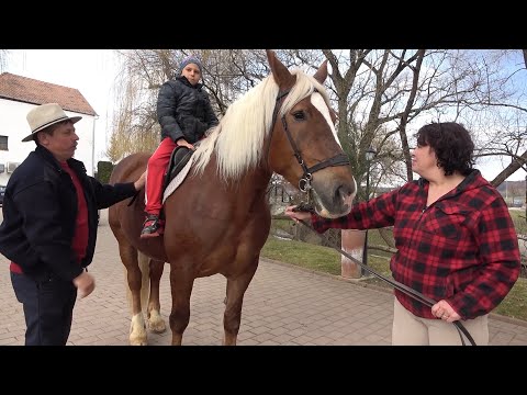 Calatorie prin Romania cu Pancica - 2021 Nou!!!