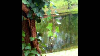 augenweideherbst ~ Herbstwind ~ Mit Den Zugvögeln ~ Magie Einer Nacht ~ Novalis ~   Augenblicke