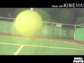 Bee Movie Game Trailer