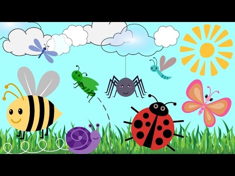 BUG CARTOONS FOR KIDS!! | Learn Bug Names | Creepy Crawlies & Fun Insect Video for Kids!! Video