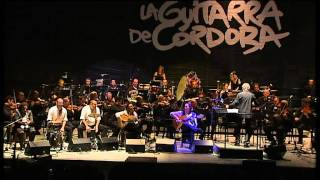 Vicente Amigo con la Orquesta de Córdoba dirigida por Joan Albert Amargós