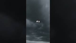 Rain? Nope—Frogs. Thousands of Frogs.