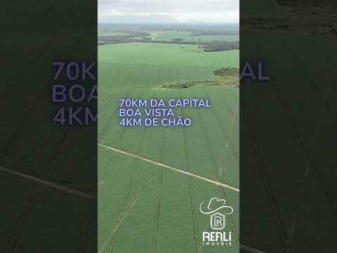 Fazenda em Roraima, em Mucajaí de 1420 hectares