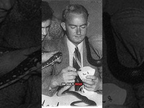 The Deadly Taipan Snake Bite: How Kevin Budden's Heroic Act Led to Life-Saving Antivenom