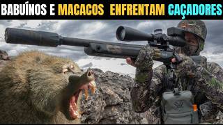 Como Milhões de Babuínos e Macacos  Enfrentam Caçadores na Australia