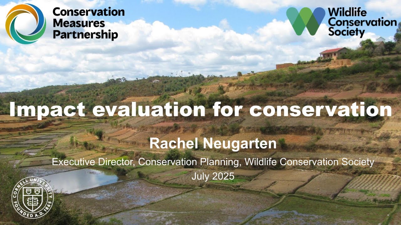 CMP Webinar Series: Impact Evaluation for Conservation, Rachel Neugarten, WCS