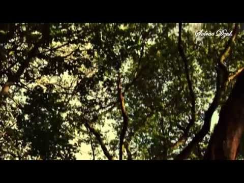 David Lanz & Paul Speer - Rain Forest - [16:9 HD Video] Chillout World Music Relaxing