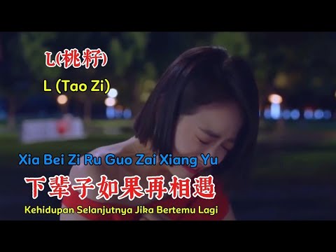 下辈子如果再相遇-L（桃籽) - Xia Bei Zi Ru Guo Zai Xiang Yu - Kehidupan Selanjutnya Jika Bertemu Lagi