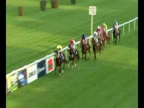 2016.09.25 Slovenský St. Leger CHARVÁT - Medici