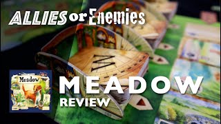 Allies or Enemies - Meadow video thumbnail