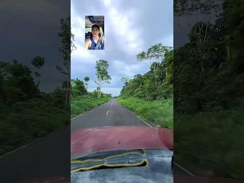 Ruta 1 - San José de Payamino - Loreto - Orellana - Ecuador 🇪🇨 #ecuador🇪🇨 #naturaleza #turismo